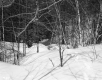 Everest H. and Katherie E. Wyman Property