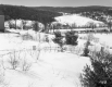 Alice Pepin Property
