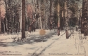 Wood Road in Winter