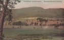 "The Orchards" and Old Anthony