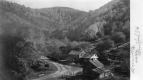 Dunville Hollow, near Woodford