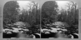 Angler's Resort, Notch, Stowe
