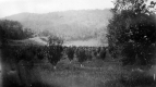 The Orchards at Everett Mansion