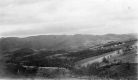 A view from The Orchards