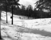 Ski Trail