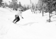 Ski Trail