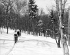 Group of Skiers Headed for Nose Dive