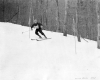Allan Beck 