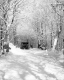 Snow Truck on Ski Trail