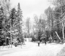 Skiers on a Back Trail