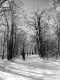 Group of Skiers on Back Trail
