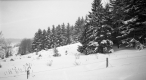 Snow on Hogback Mountain