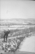Ski Jumper over Crowd