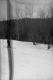 Woman Skiing