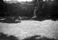 Grassy Yard