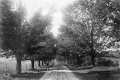 Furnace Road