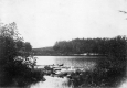 Alligator Point