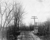 Dirt road, bares trees and utility lines