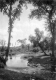 Trees on the side of a slow river