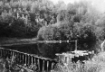 Water and trees