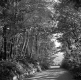 South Stream Road in Bennington