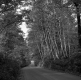 South Stream Road in Bennington