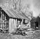 Sugar Shacks in the Lillie Sugar Bush