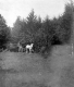 Horse-drawn carriage on Mt. Independence