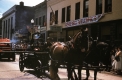 Horse drawn carriage in a parade