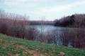 Water and leafless deciduous trees