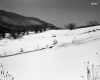 Harry F. and Mabel E. Harvey Property