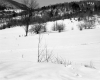 Harry F. and Mabel E. Harvey Property