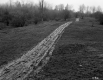 Harry F. and Mabel E. Harvey Property