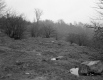 Harry F. and Mabel E. Harvey Property