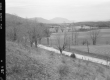Shaftsbury - Arlington Area