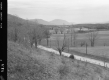 Shaftsbury - Arlington Area