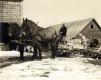Three men and horses as part of a sugaring operation