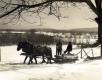 Severy men collecting sugar maple sap