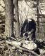 Collecting sugar maple sap