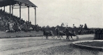 Harness racing at the Middlebury Fair