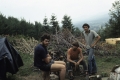 Construction of Dimetrodon