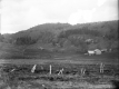 Farm and farmland