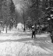 Skiers on Rope Tow