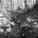 Small creek