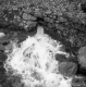 Water flowing out of a culvert
