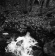 Water flowing out of a culvert
