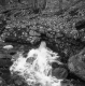 Water flowing out of a culvert