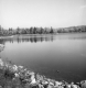 Shoreline of a lake