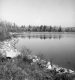 Shoreline of a lake