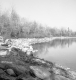 Shoreline of a lake